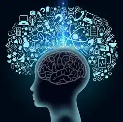 Brain Health & Memory